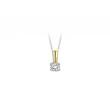 Blush Blush Diamonds Hanger 14k bicolor met 0.05ct diamant 6600BDI
