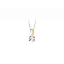 Blush Blush Diamonds Hanger 14k bicolor met 0.05ct diamant 6600BDI