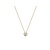 Blush Blush Collier 14k geelgoud met zirkonia 3052YZI