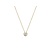 Blush Blush Collier 14k geelgoud met zirkonia 3052YZI