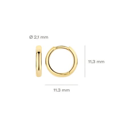 Blush Blush Creolen 14k geelgoud 7203YGO