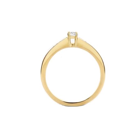 Blush Blush Ring 14k geelgoud met zirkonia 1145BZI