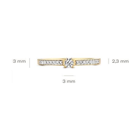 Blush Blush Ring 14k geelgoud met zirkonia 1145BZI