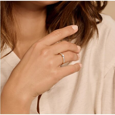 Blush Blush Ring 14k geelgoud met zirkonia 1145BZI