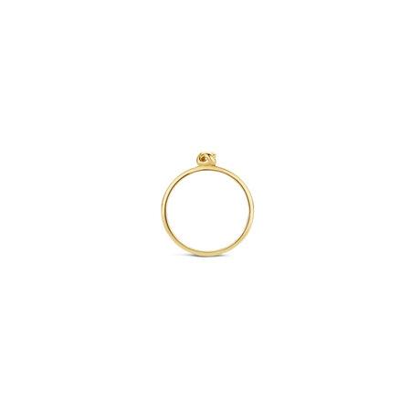 Blush Blush Ring 14k geelgoud 1193YGO