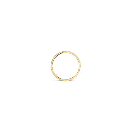 Blush Blush Ring 14k geelgoud met zirkonia 1201YZI