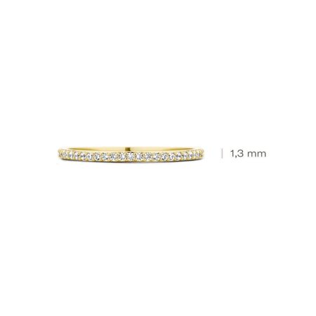 Blush Blush Ring 14k geelgoud met zirkonia 1201YZI