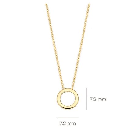 Blush Blush Collier 14k geelgoud 3083YGO