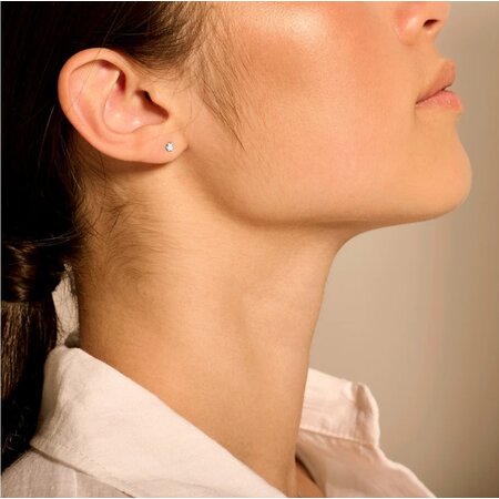 Blush Blush Diamonds Oorstekers 14k witgoud met diamant 7603WDI