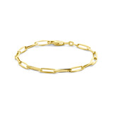 Blush HuisCollectie Armband 14k Geelgoud Closed Forever 4.5mm 613125