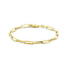 HuisCollectie HuisCollectie Armband 14k Geelgoud Closed Forever 4.5mm 613125