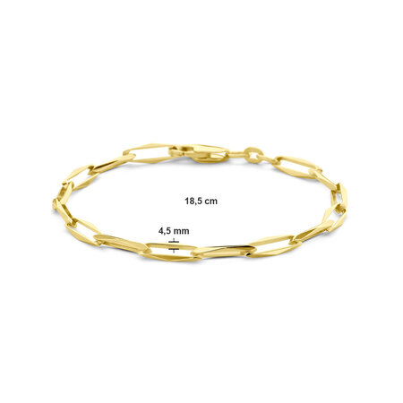 HuisCollectie HuisCollectie Armband 14k Geelgoud Closed Forever 4.5mm 613125