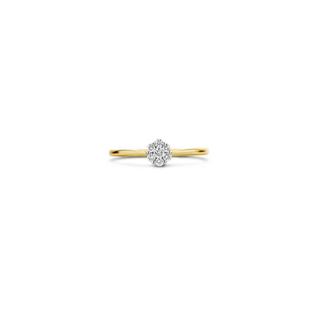 Blush Blush Diamonds Ring 14k bicolor met diamant 1611BDI