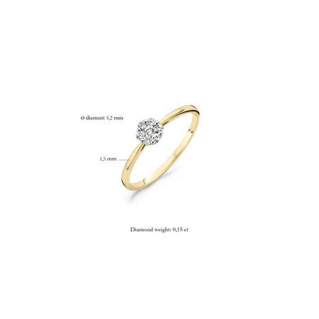 Blush Blush Diamonds Ring 14k bicolor met diamant 1611BDI