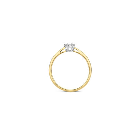 Blush Blush Diamonds Ring 14k bicolor met diamant 1611BDI