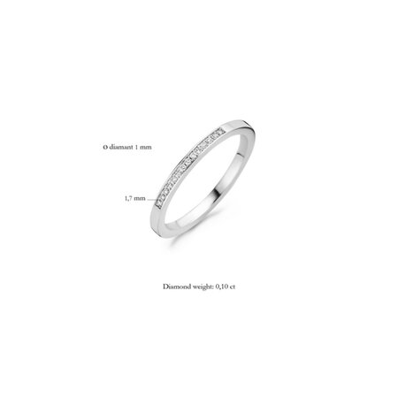 Blush Blush Diamonds Ring 14k witgoud met diamant 1630WDI