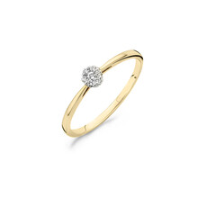 Blush Blush Diamonds Ring 14k bicolor met diamant 1609BDI