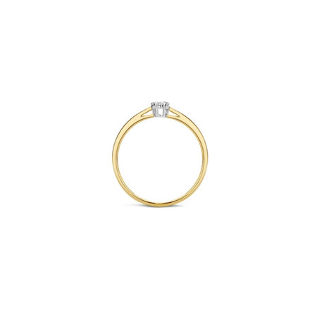 Blush Blush Diamonds Ring 14k bicolor met diamant 1609BDI