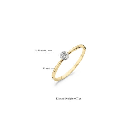Blush Blush Diamonds Ring 14k bicolor met diamant 1609BDI