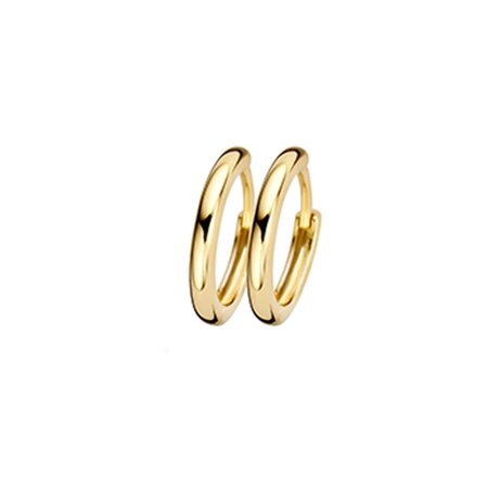 Blush Blush Creolen 14k geelgoud 7233YGO