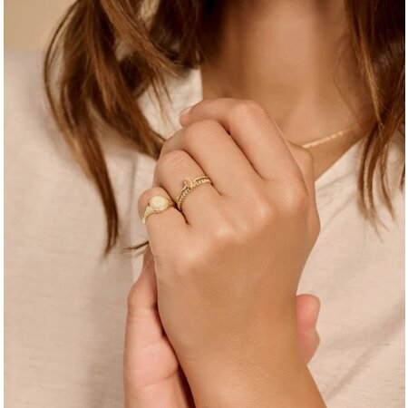 Blush Blush Zegelring 14k geelgoud 1205YGO