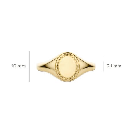 Blush Blush Zegelring 14k geelgoud 1205YGO