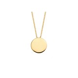 Blush Blush Collier 14k geelgoud 3088YGO