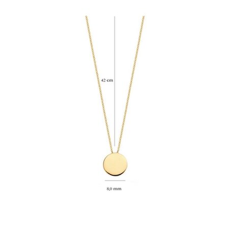 Blush Blush Collier 14k geelgoud 3088YGO