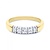 R&C R&C Ring Carole 14k Geelgoud met 0.25ct P/W diamant RIN1705-5-PW-BIC-55