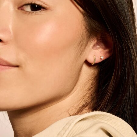 Blush Blush Creolen 14k geelgoud 7265YGO