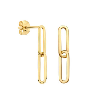 Blush Blush Oorhangers 14k geelgoud 7262YGO