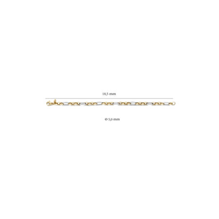 Blush Blush Armband 14k bicolor 2177BGO