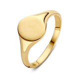  HuisCollectie Ring 14k Geelgoud 613551