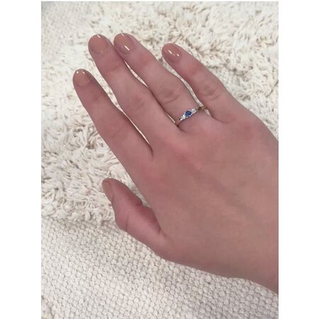 HuisCollectie HuisCollectie Ring 14k bicolor met Saffier en diamant 613560