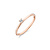 Blush Blush Ring 14k roségoud met zirkonia 1200RZI