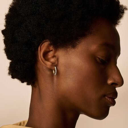 Blush Blush Creolen 14k geelgoud met zirkonia 7236YZI