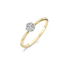 Blush Blush Diamonds Ring 14k bicolor met diamant 1611BDI