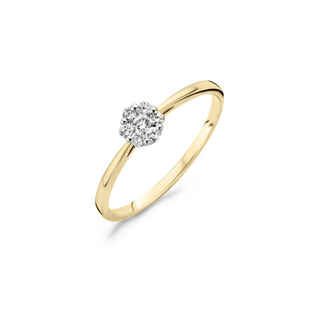 Blush Blush Diamonds Ring 14k bicolor met diamant 1611BDI