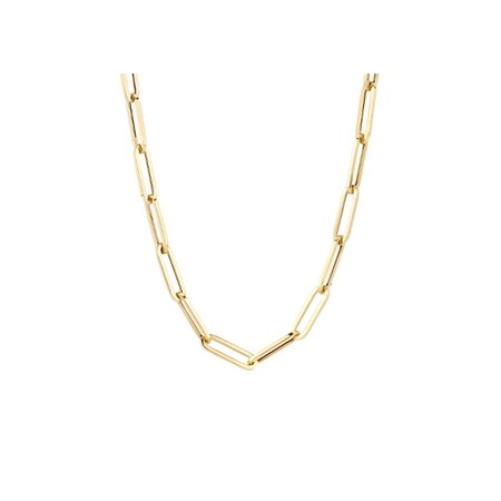 Blush Blush Collier 14k geelgoud 3130YGO