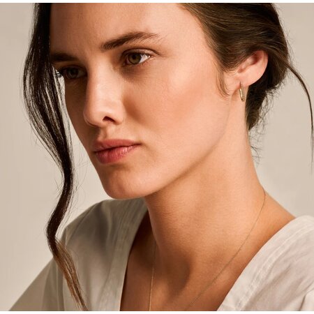 Blush Blush Creolen 14k geelgoud 7273YGO