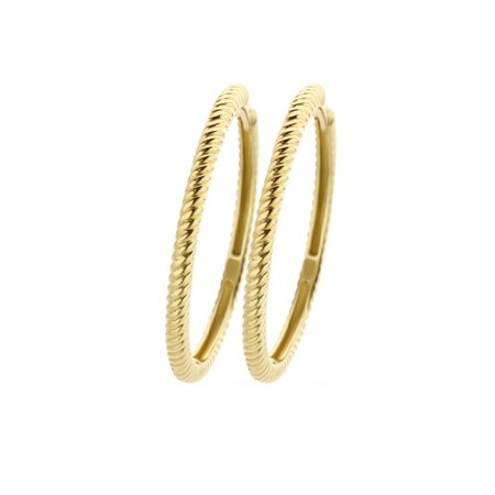 Blush Blush Creolen 14k geelgoud 7287YGO