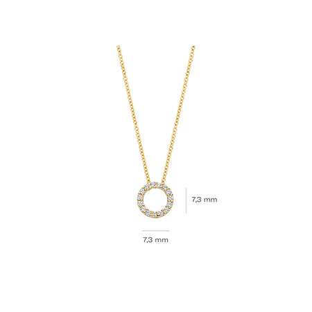 Blush Blush Collier14k geelgoud met zirkonia 3065YZI