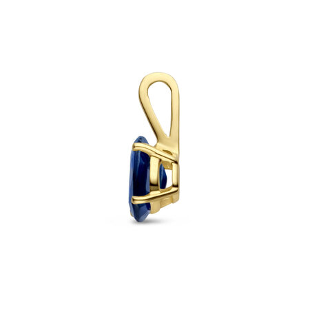 HuisCollectie Mrs.Janssen Hanger 14k Geelgoud met blauw saffier 613784