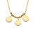 Blush Blush Collier 14k geelgoud 3170YGO