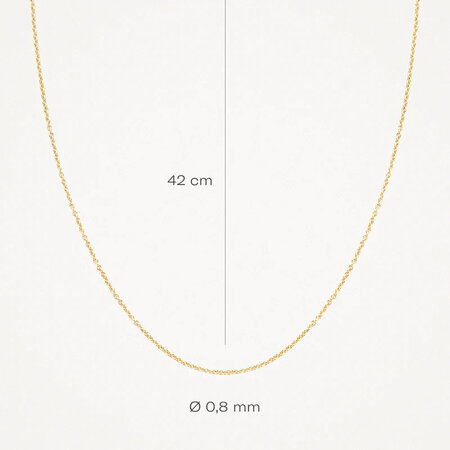 Blush Blush Collier 14k geelgoud 3058YGO 42cm