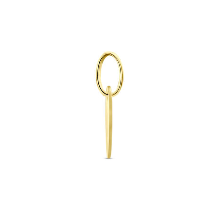 HuisCollectie HuisCollectie hanger 14k Geelgoud rond 10mm 613961