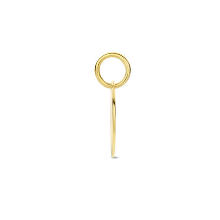 HuisCollectie HuisCollectie hanger 14k Geelgoud rond 10mm 612848