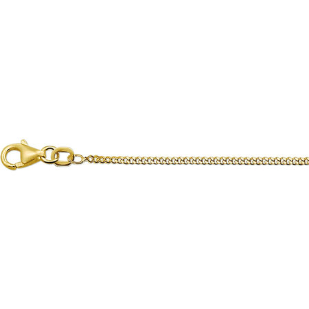 HuisCollectie HuisCollectie Collier 14k geelgoud Gourmette 1,6 mm x 42cm 609981