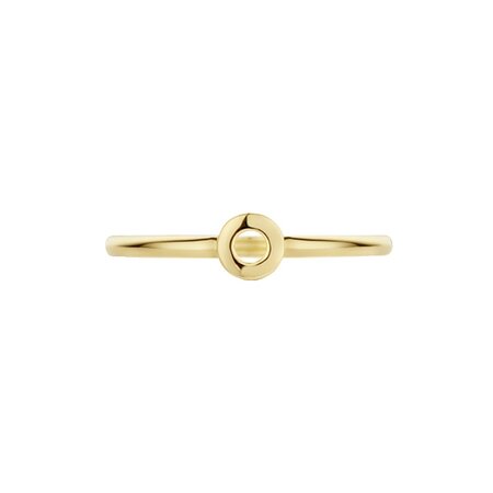 Blush Blush Ring 14k geelgoud 1233YGO