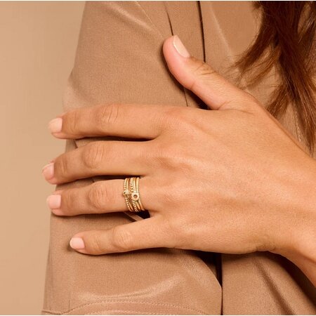 Blush Blush Ring 14k geelgoud 1233YGO